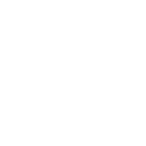 Fyze